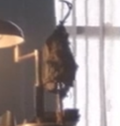 BobaTalks tweet media