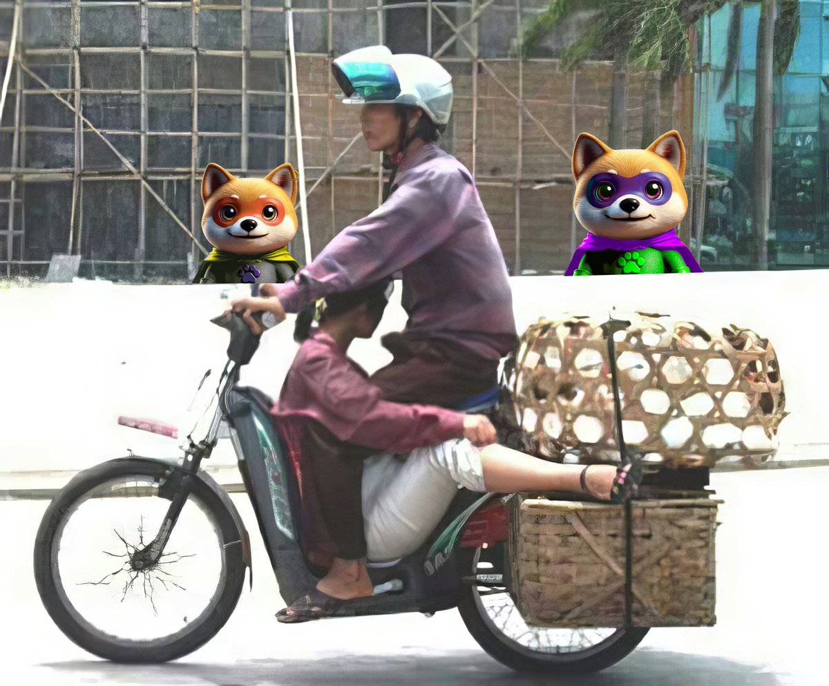 blockchainsiam's tweet photo. @ParadoxDesigner Dear @ParadoxDesigner

Please. When you got time action DOG FOUNDATION #Thailand needs urgently need for Hill tribes dog. We suffered catastrophe in September 2023 and request urgent help to dogs &amp; shelter.

Can @oscar_shibainu help
Communication 365
Helped you long time fren 🐶 https://t.co/XgMRHBOULN