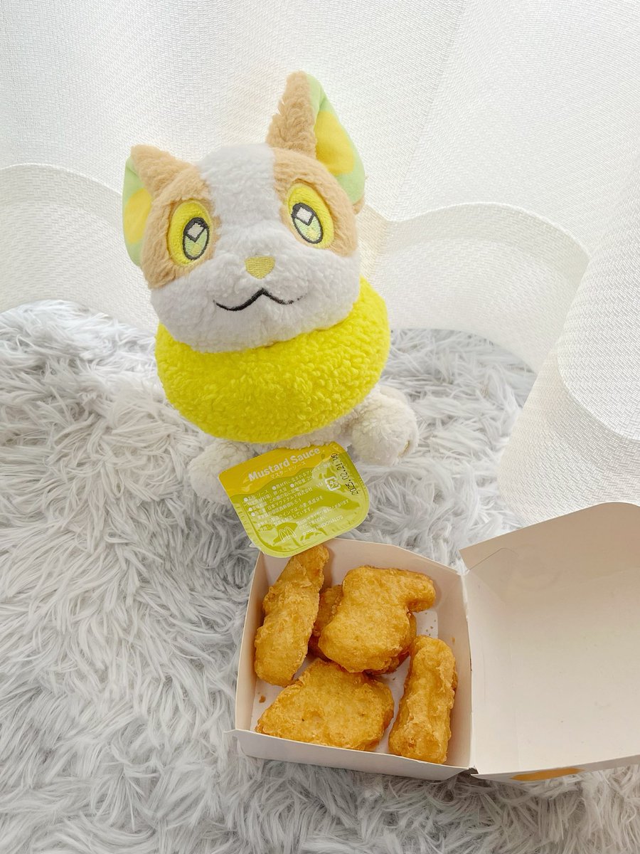 ぼそぼそのワンパチ (@bosopachi) on Twitter photo 