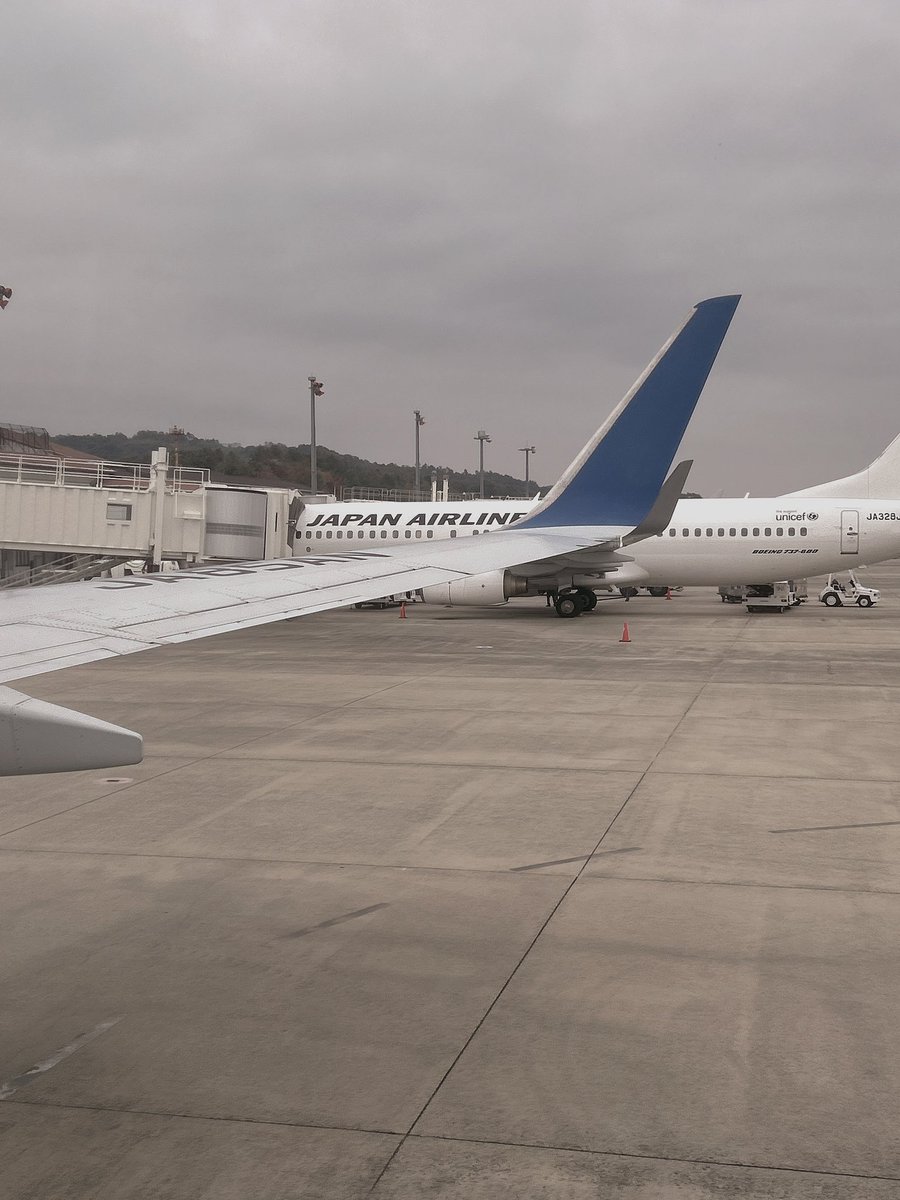飛行機noobすぎて端っこ曲がってるの初めて気付きました。紙飛行機作った時の様にかっこいいから曲がってるんですか？