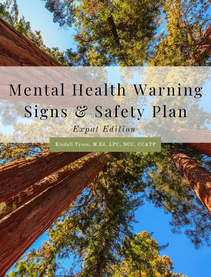 🧠PLEASE SHARE🧠
For my fellow expats prioritizing their mental health and wellness. aspirecounselingwell.com/new-products-1…