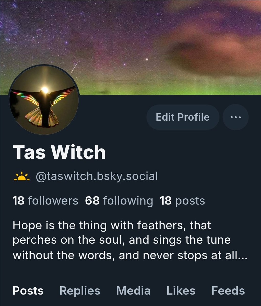 It's making me laugh how my Twitter feed is full of my Twitter family sharing their BSky accounts.