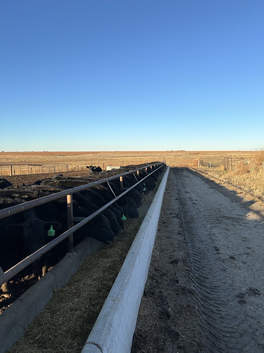 highlinemfg's tweet photo. Thank You for your valued business ‼️

Congratulations to Avery Thalheim on your new #highline AMX690T Towed TMR Mixer. 

Shout out to our dealer @LandMarkImp on Phillipsburg, KS for your excellent sales and service! 

#weknowcows https://t.co/pvNOVc41Kd