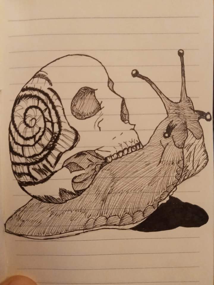 MoreIce's tweet photo. #horror 
#HorrorArt 
#snail 
#skull https://t.co/WpTk3AcsYm