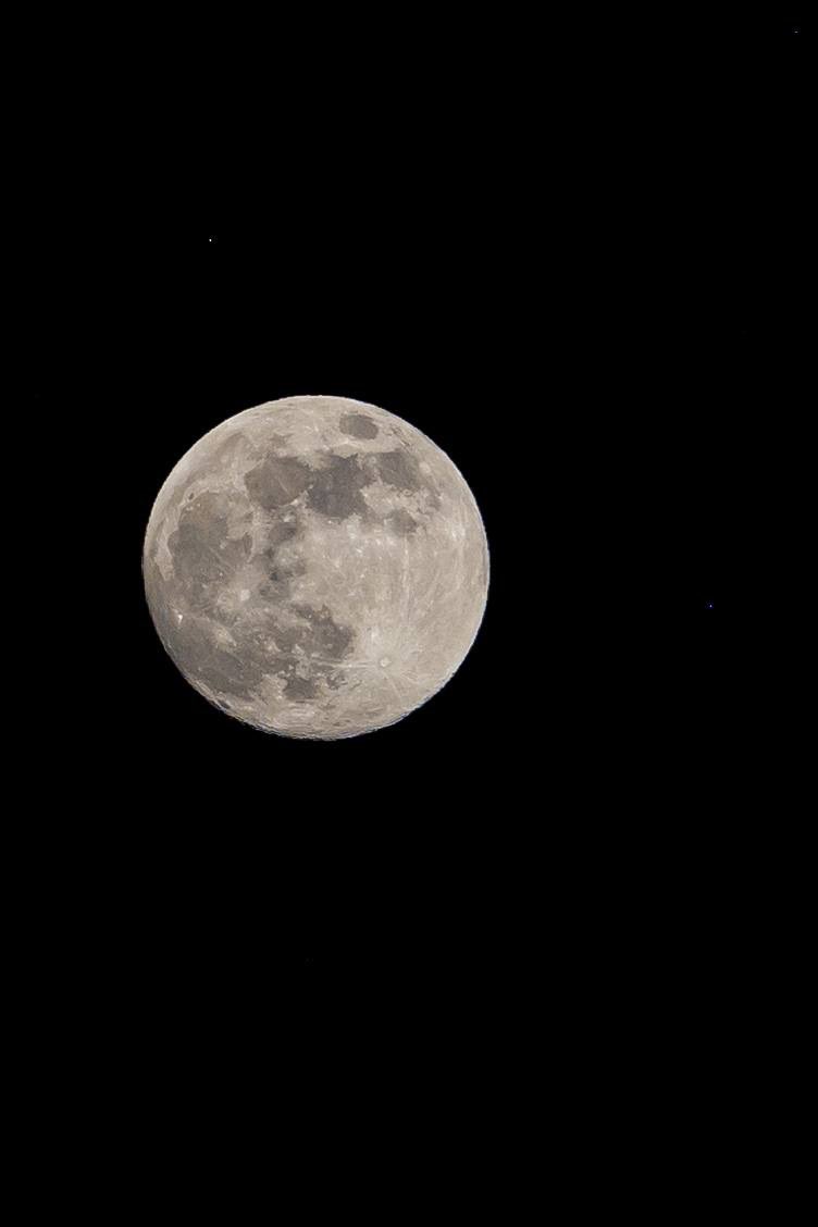 samuel_garcias's tweet photo. ¿Ya salieron a ver la luna? ¡CHULADA! https://t.co/bqC30uOUgi