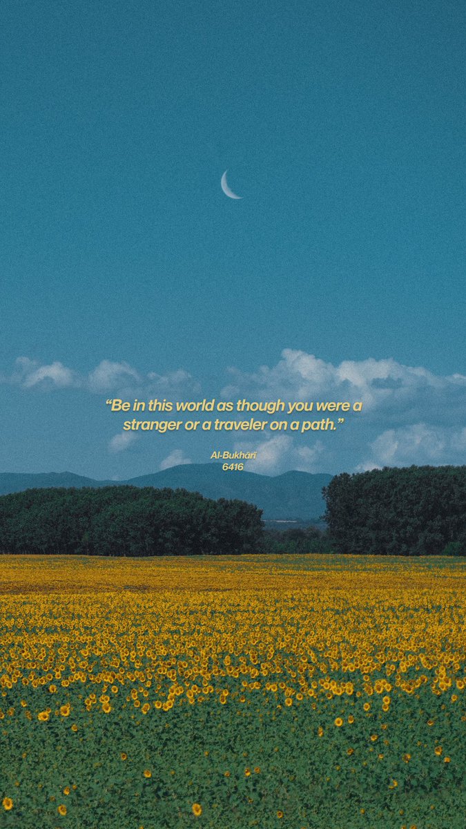 ItsFulan's tweet photo. He who trusts the world, the world betrays him. https://t.co/Z18ZLgIX0c
