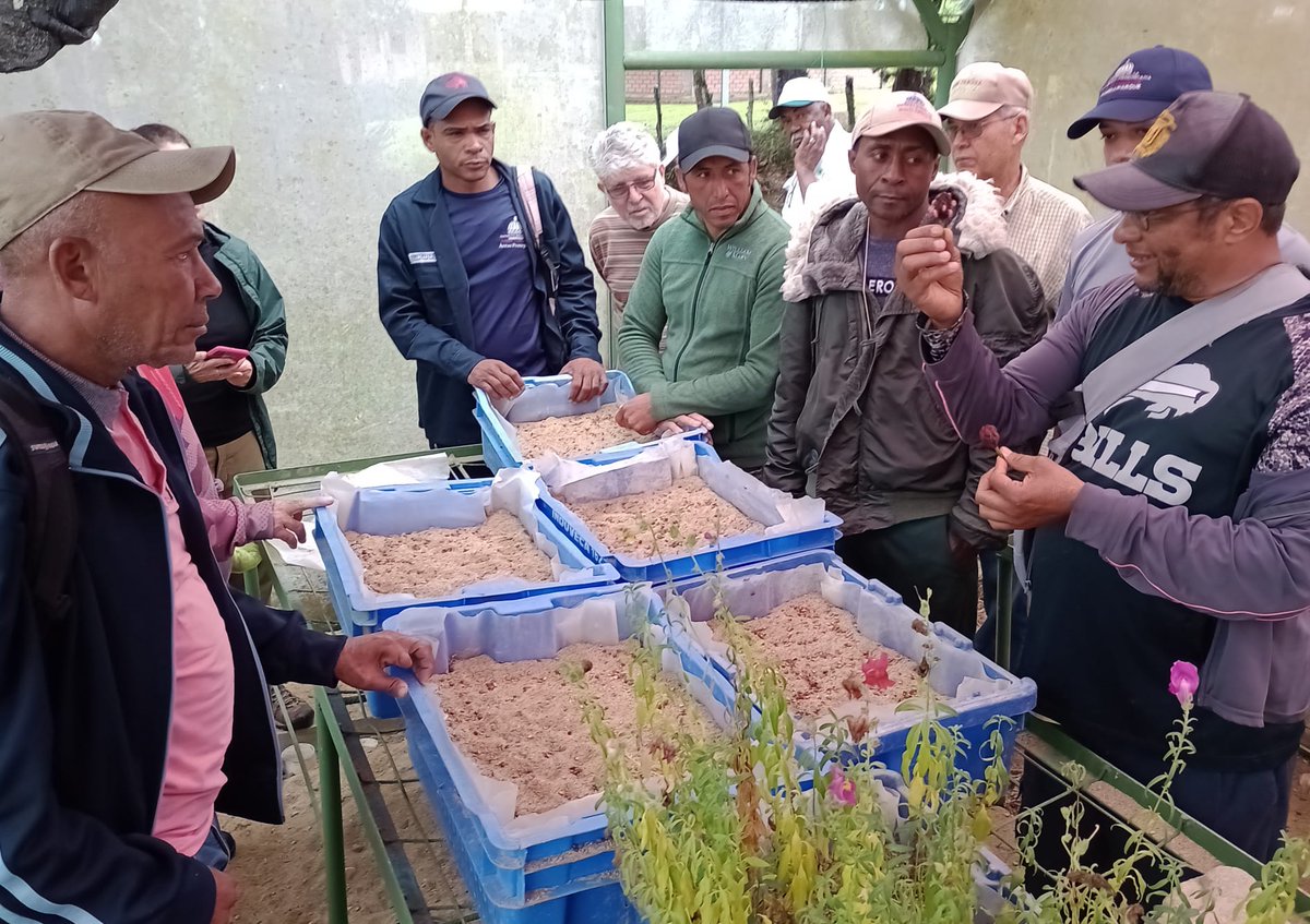 Michael Way tweet media