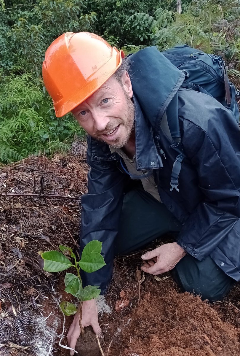 Michael Way (@michaelway88) on Twitter photo Fundacion Progressio reviewed #Magnolia propagation and conservation as part of our @kewscience course today. We all took the opportunity to plant #Magnolia seedlings in Ebano Verde reserve. Thanks to <a href="/bgci/">Botanic Gardens Conservation International</a> and Fondation Franklinia for supporting these propagation projects. Fundacion Progressio reviewed #Magnolia propagation and conservation as part of our @kewscience course today. We all took the opportunity to plant #Magnolia seedlings in Ebano Verde reserve. Thanks to <a href="/bgci/">Botanic Gardens Conservation International</a> and Fondation Franklinia for supporting these propagation projects.