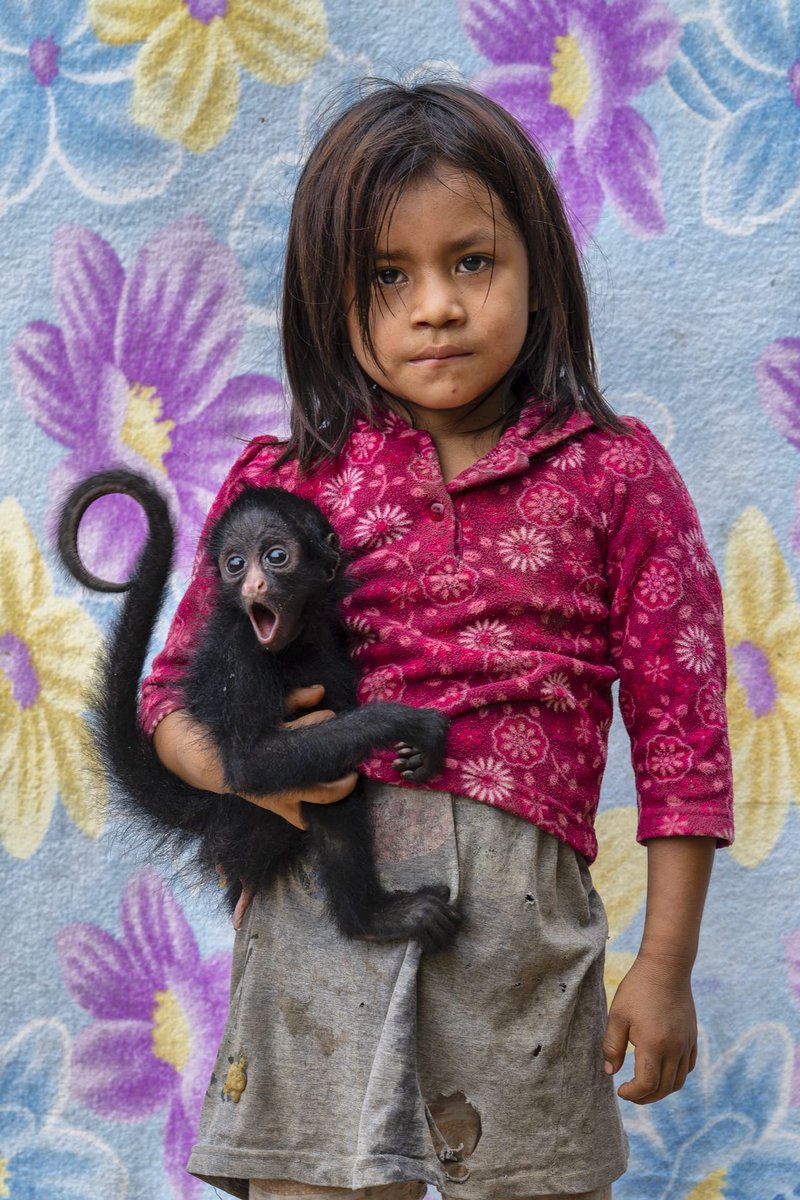 rainforestflow's tweet image. A Fundraising Event: Art to Preserve and Protect the Amazon
We recently spent time with acclaimed National Geographic photographer, conservationist, friend, and supporter Charlie Hamilton James in the magnificent Manu Biosphere Reserve, Peru, as he captured the beauty of the…