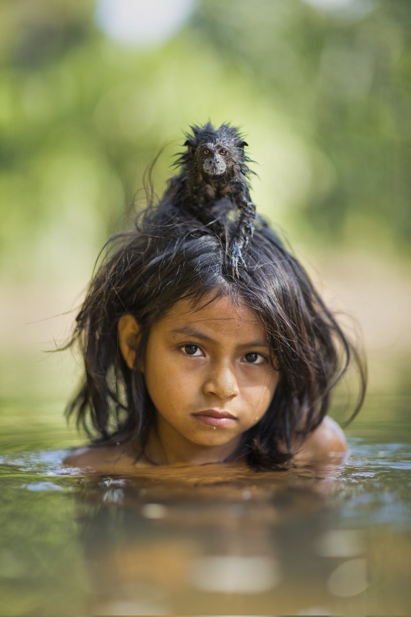 rainforestflow's tweet image. A Fundraising Event: Art to Preserve and Protect the Amazon
We recently spent time with acclaimed National Geographic photographer, conservationist, friend, and supporter Charlie Hamilton James in the magnificent Manu Biosphere Reserve, Peru, as he captured the beauty of the…