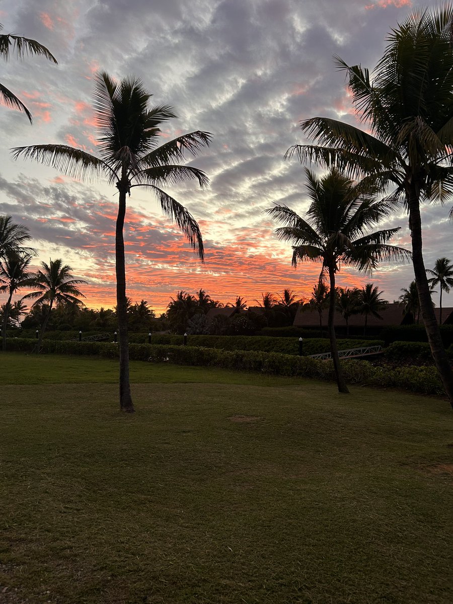 Ms_Malimali's tweet photo. 🩵🧡
Ocean and sunsets https://t.co/VVOsiW0vee