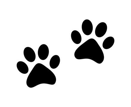 Share your #PAWS 🐾