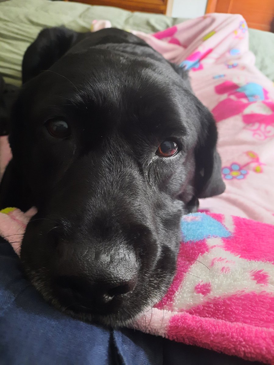 Anna Spanna 💙 tweet media