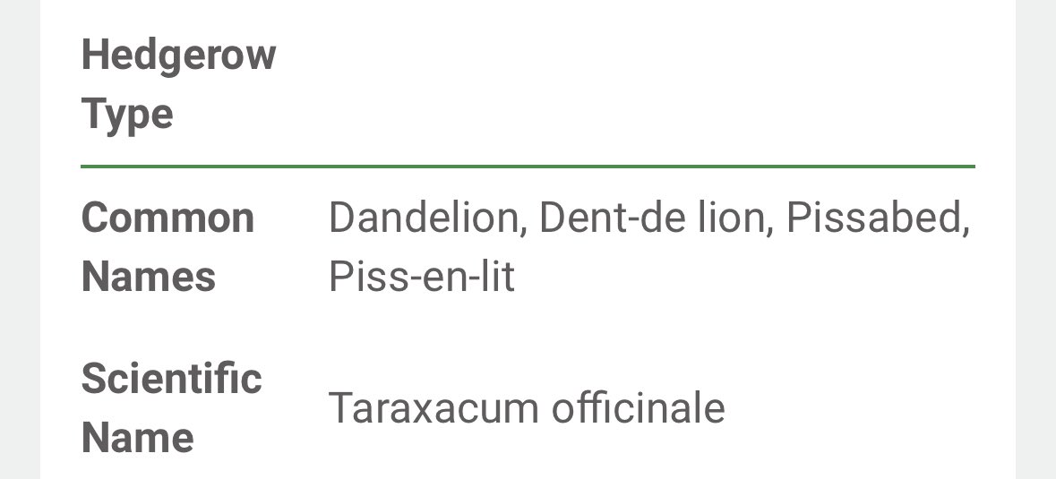 Hey <a href="/hmspinniped/">H.M.S. Pinniped</a>.  I heard today that Dandelion are called pissabed in the UK.  You have a new nickname.  Congratulations!