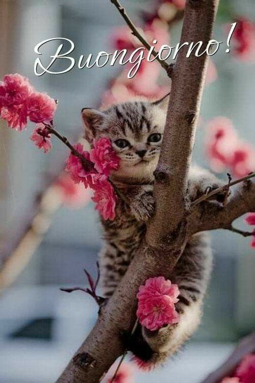 Marianna tweet media