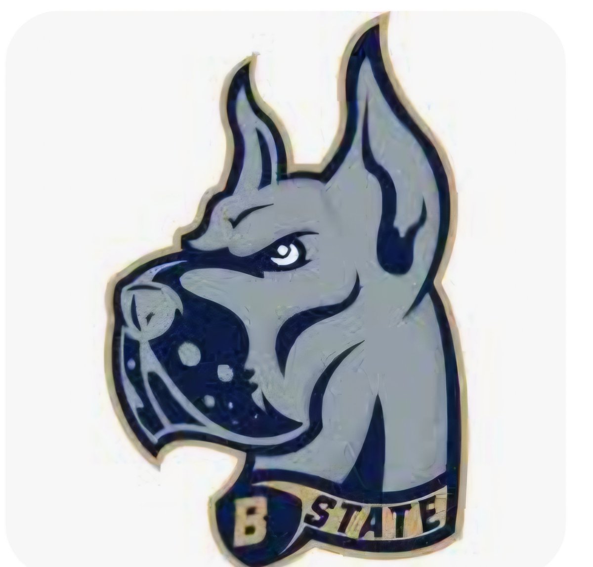 Bryson Bradley tweet media