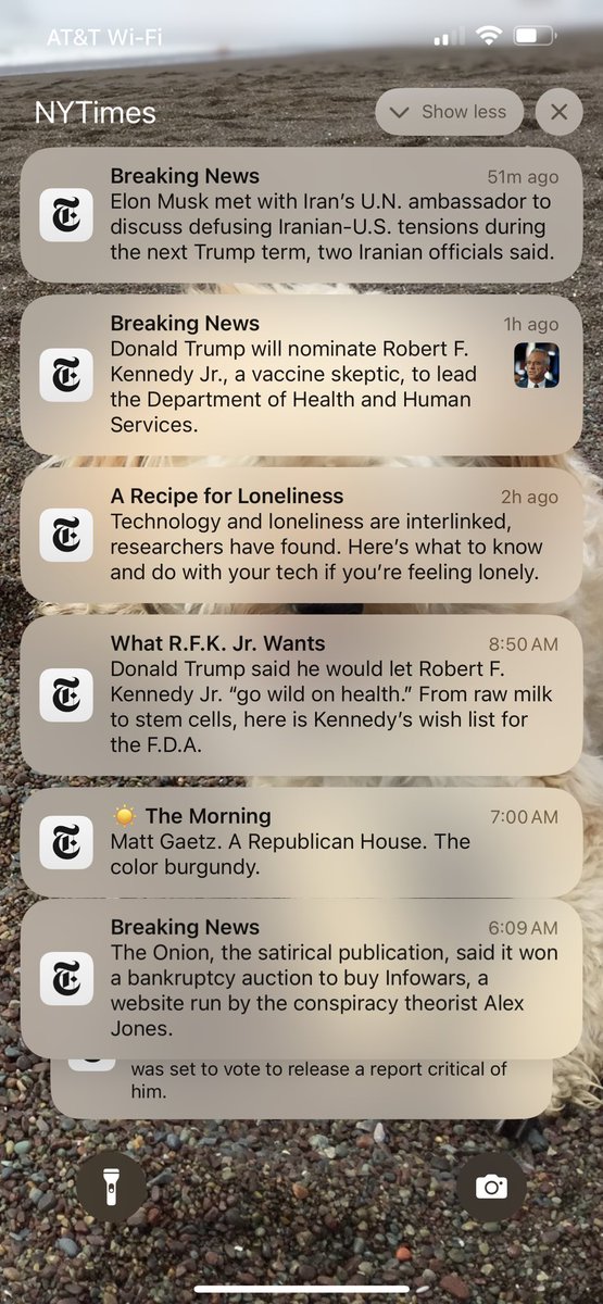 kellylboynton's tweet image. Slow news day