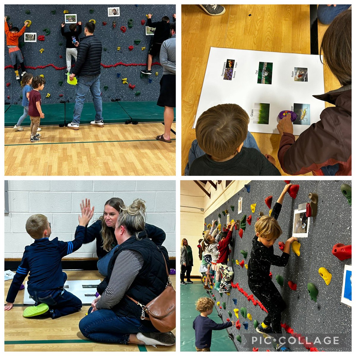 CoachReid tweet media