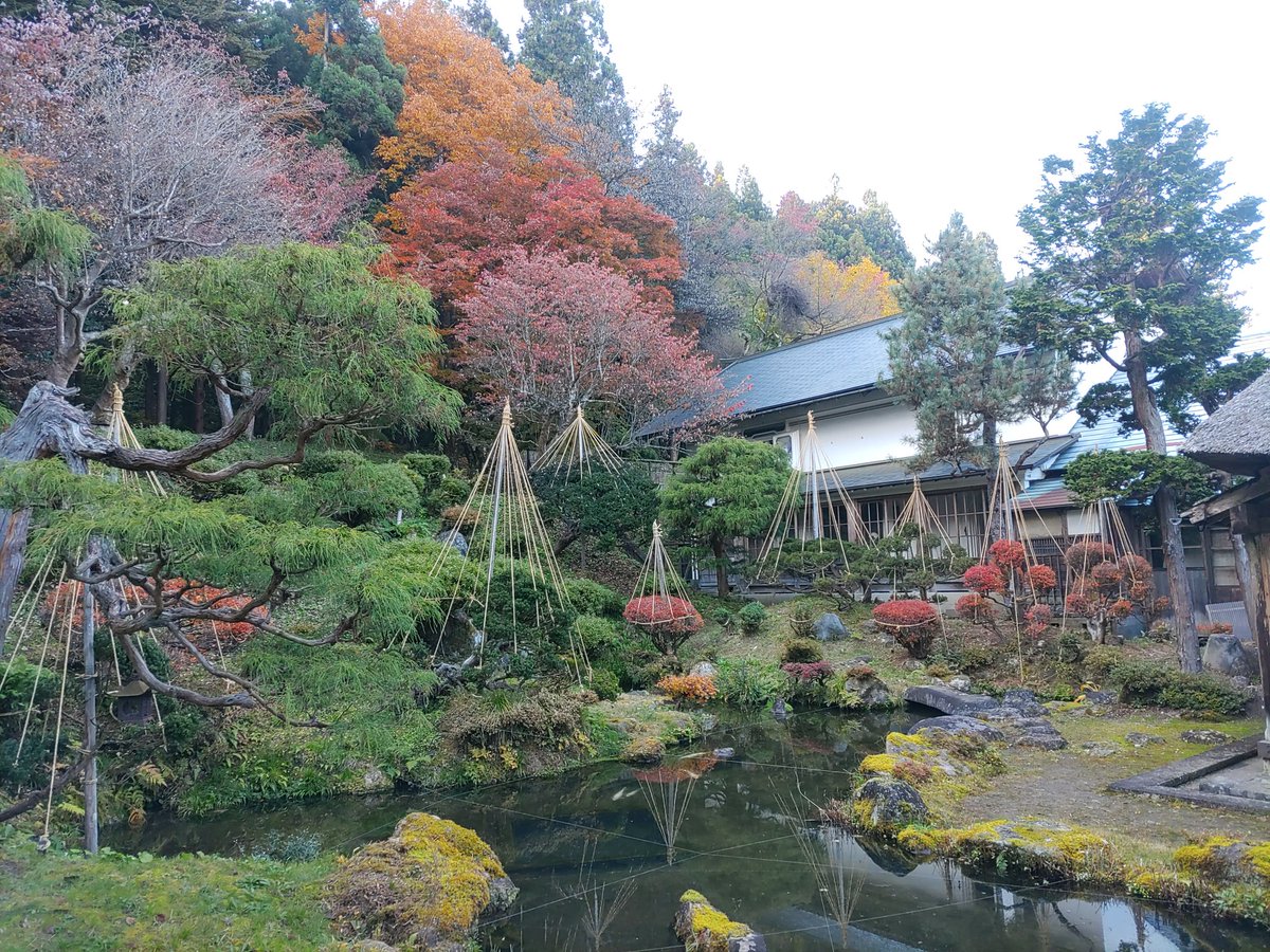 k_kuzaemon's tweet photo. 旧柏倉家住宅の木々も秋が深まり、色づいてきています
皆さんぜひ足を運んでみてください https://t.co/0WTqnD5cLD