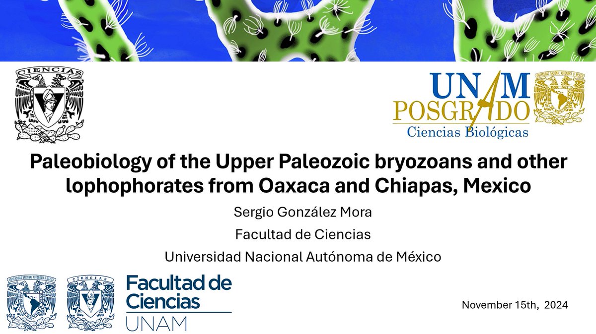 Sergio González Mora 🐚🦀 🔎🔬🦖 tweet media