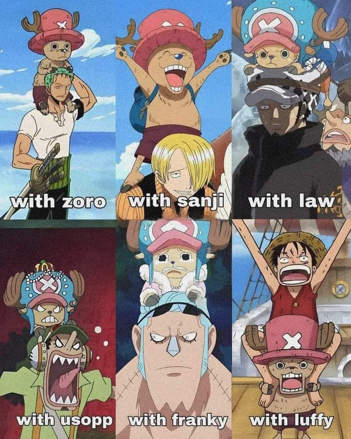 One Piece Daily (@opdaiiy) on Twitter photo 