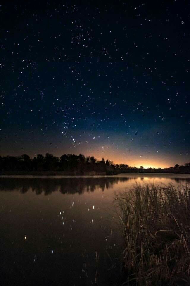 I’d rather regret the things I’ve done than regret the things I haven’t done.” —Lucille Ball

Sweet dream.