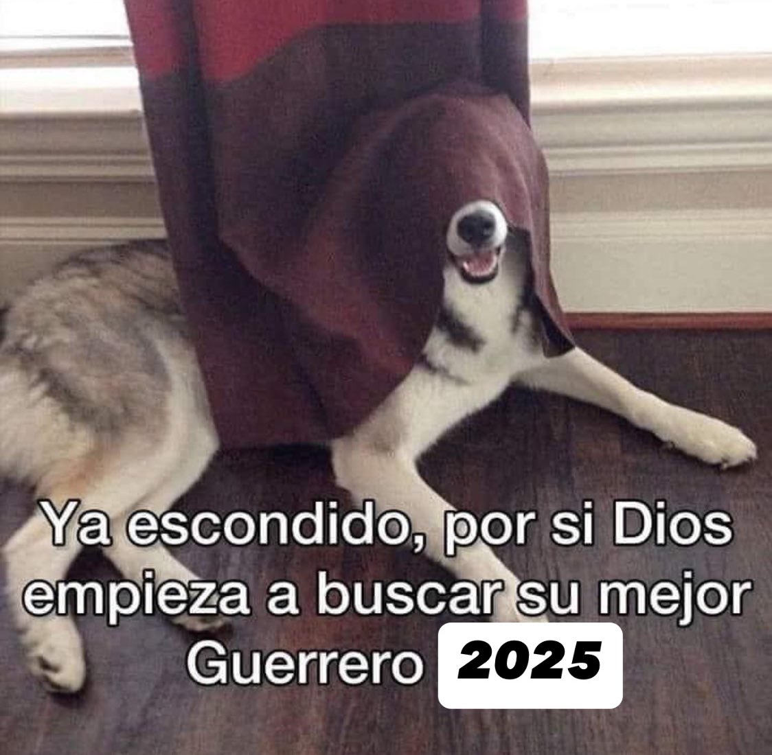 ya no quiero, basta por favor