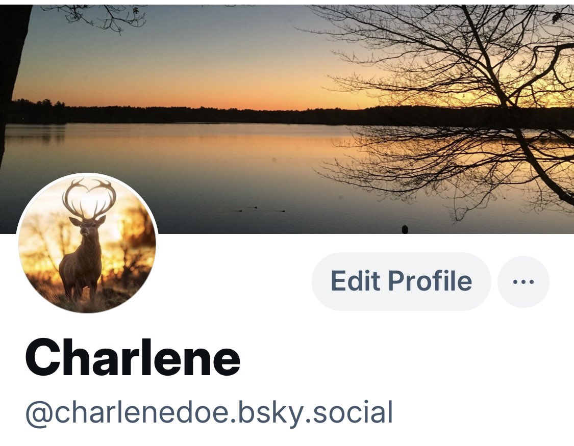 Charlene Doe ๐บ๐ธ tweet media