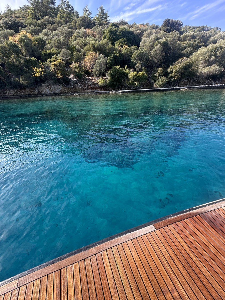November sailing in 🇹🇷… perfect weather, serene waters, and endless adventure. <a href="/SunExpress/">SunExpress</a> <a href="/PremiumGocek/">Rixos Premium Gocek</a>