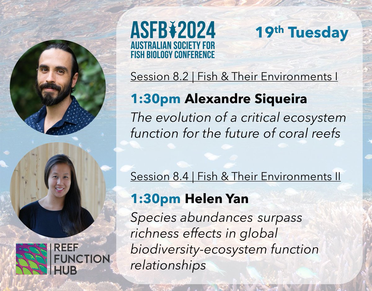 Reef Function Hub (@reeffunctionhub) on Twitter photo Oops, looks like we have double-booked ourselves today! At least you'll be spoiled for choice with <a href="/SiqueiraAleC/">Alexandre C Siqueira</a> and <a href="/helenyaan/">Helen Yan</a> both presenting this afternoon! ๐คญ
#ASFB2024 <a href="/AustSocFishBiol/">ASFB</a> <a href="/bellwoodlab/">The Bellwood Lab</a> Oops, looks like we have double-booked ourselves today! At least you'll be spoiled for choice with <a href="/SiqueiraAleC/">Alexandre C Siqueira</a> and <a href="/helenyaan/">Helen Yan</a> both presenting this afternoon! ๐คญ
#ASFB2024 <a href="/AustSocFishBiol/">ASFB</a> <a href="/bellwoodlab/">The Bellwood Lab</a>