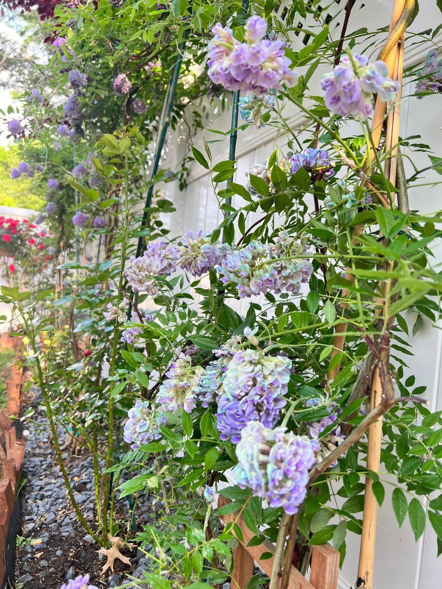 間違っているとわかっていても、諦めたくないためにそれをやり続けることがあります。