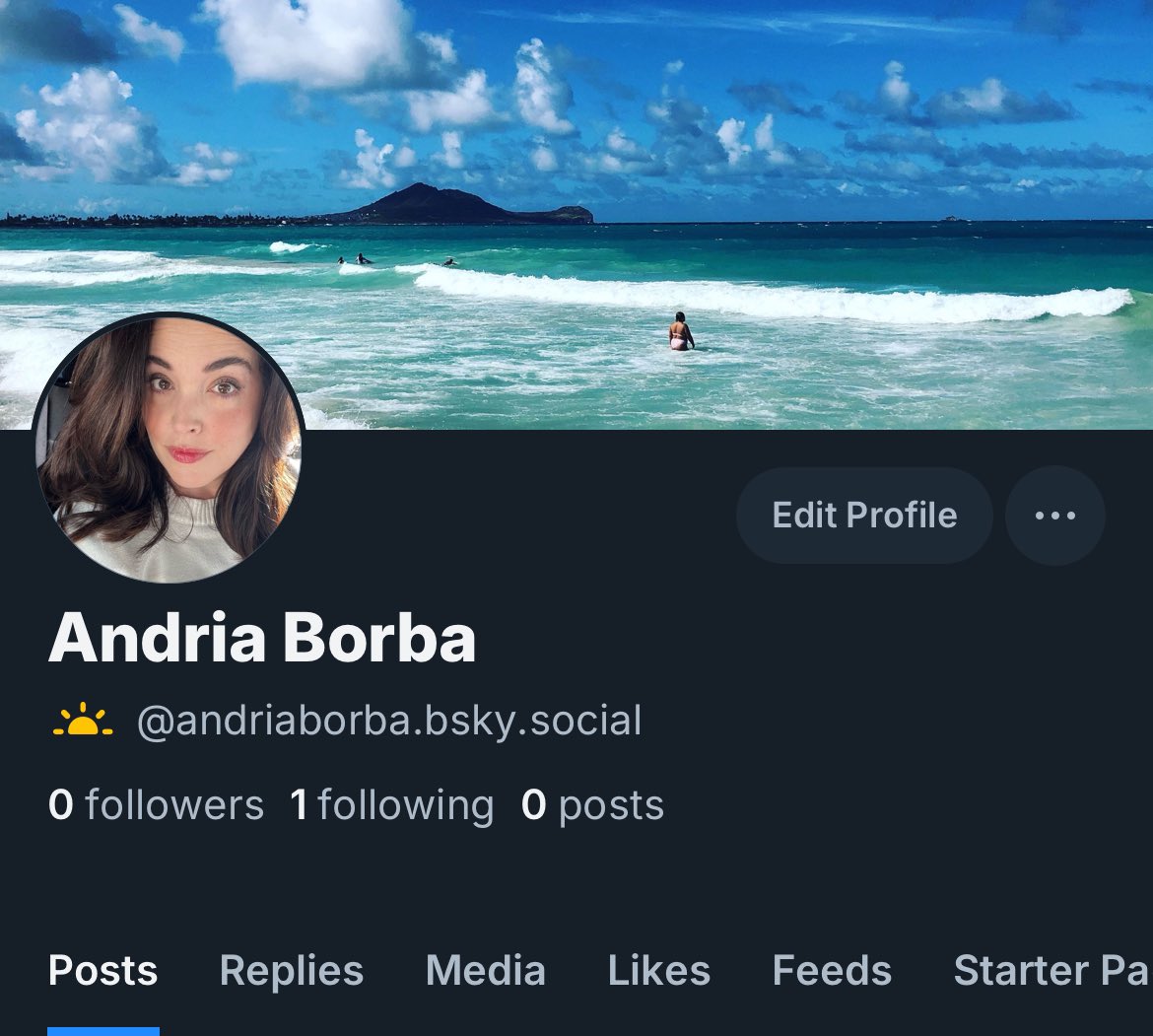 Andria Borba tweet media