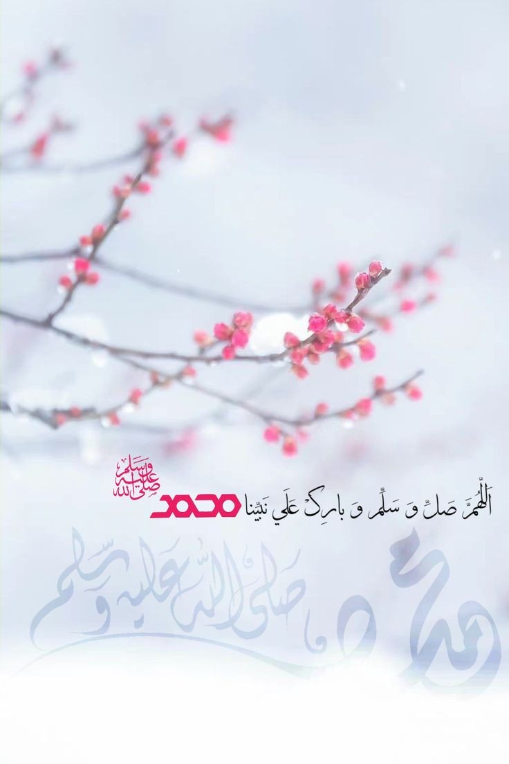 𝕏𝕊𝕒𝕓𝕚𝕟𝕒𝔸𝕟𝕛𝕦𝕞 𝕏 (@sabina78621) on Twitter photo #جمعه_طيبه_مباركه
💚
<a href="/MerOkmen/">Ömer ÖKMEN</a>
<a href="/12ZZZ22/">دختور🔥🔥</a>
<a href="/albnan1hd/">خالدالبنّان ✍️</a>
@Ghz36
<a href="/Tt1234512345/">سناء</a>
<a href="/adiva4_s/">🌼Adiva Arsyila Savina 🇮🇩🇲🇾</a>
<a href="/DBdrbh87938/">الحربي</a>
@abuimus
<a href="/_Hulk1/">🇵 🇦 🇱 🇪 🇸 🇹 🇮 🇳 🇪</a>
@1lrm_
<a href="/mil1_gm/">💬 🎶🎧 .Latin.</a>
<a href="/77966l/">تقارير طبيه فحوص طبيه</a>
<a href="/Lea_Dhai/">🐥𝒫𝓇𝒾𝓃𝒸𝑒𝓈𝓈 ℒ𝑒𝒶𝒽 ⭕️130 K👑</a>
<a href="/ZNizi36/">zahra niazi</a>
<a href="/hir_a5/">Hira niazi</a>
<a href="/Mo2__f/">مثـ⸙²͢⁰͢²⁴ـنــى⸙ᘓ᭄ᵛ͢⍣⃝</a>
<a href="/BvOudp/">ATS || CV || تصميم سيرة ذاتية احترافية</a>
<a href="/Klll098/">Kareem Baloch</a>
@Alice_0l
@1enm_
<a href="/l500U/">𝐇𝐀𝐓𝐄𝐌</a>
<a href="/dua_salo/">الحمدلله دائماً وابداً</a>
@N9d9a
<a href="/ereditsh/">Helena Ereditsh Dr</a>
<a href="/Zuhri777/">Zuhri🇮🇩</a>
<a href="/adiva4_s/">🌼Adiva Arsyila Savina 🇮🇩🇲🇾</a>
<a href="/Rukhy0/">Rukhsaar javed.</a>
<a href="/aylin_cee/">@ylin</a> #جمعه_طيبه_مباركه
💚
<a href="/MerOkmen/">Ömer ÖKMEN</a>
<a href="/12ZZZ22/">دختور🔥🔥</a>
<a href="/albnan1hd/">خالدالبنّان ✍️</a>
@Ghz36
<a href="/Tt1234512345/">سناء</a>
<a href="/adiva4_s/">🌼Adiva Arsyila Savina 🇮🇩🇲🇾</a>
<a href="/DBdrbh87938/">الحربي</a>
@abuimus
<a href="/_Hulk1/">🇵 🇦 🇱 🇪 🇸 🇹 🇮 🇳 🇪</a>
@1lrm_
<a href="/mil1_gm/">💬 🎶🎧 .Latin.</a>
<a href="/77966l/">تقارير طبيه فحوص طبيه</a>
<a href="/Lea_Dhai/">🐥𝒫𝓇𝒾𝓃𝒸𝑒𝓈𝓈 ℒ𝑒𝒶𝒽 ⭕️130 K👑</a>
<a href="/ZNizi36/">zahra niazi</a>
<a href="/hir_a5/">Hira niazi</a>
<a href="/Mo2__f/">مثـ⸙²͢⁰͢²⁴ـنــى⸙ᘓ᭄ᵛ͢⍣⃝</a>
<a href="/BvOudp/">ATS || CV || تصميم سيرة ذاتية احترافية</a>
<a href="/Klll098/">Kareem Baloch</a>
@Alice_0l
@1enm_
<a href="/l500U/">𝐇𝐀𝐓𝐄𝐌</a>
<a href="/dua_salo/">الحمدلله دائماً وابداً</a>
@N9d9a
<a href="/ereditsh/">Helena Ereditsh Dr</a>
<a href="/Zuhri777/">Zuhri🇮🇩</a>
<a href="/adiva4_s/">🌼Adiva Arsyila Savina 🇮🇩🇲🇾</a>
<a href="/Rukhy0/">Rukhsaar javed.</a>
<a href="/aylin_cee/">@ylin</a>