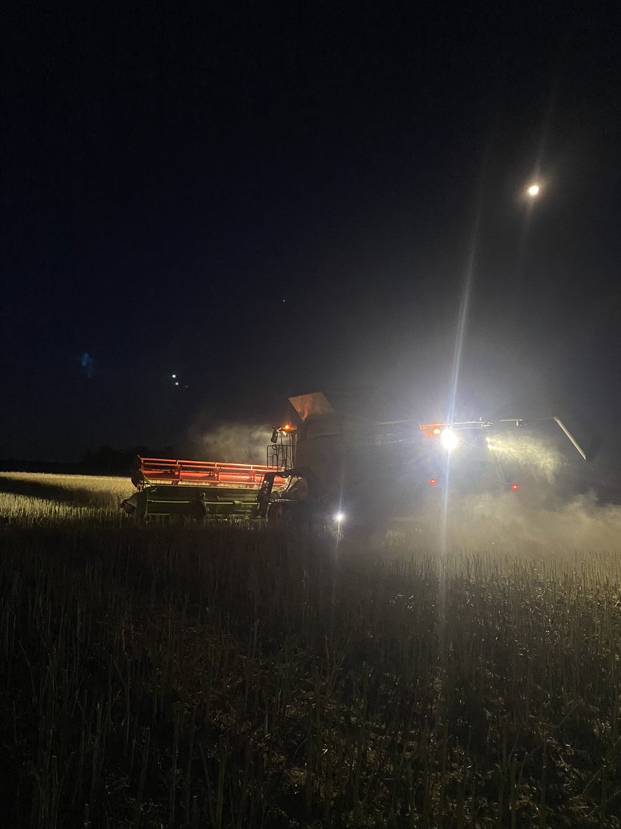 #Regiment by night <a href="/PacificSeeds/">Pacific Seeds</a>