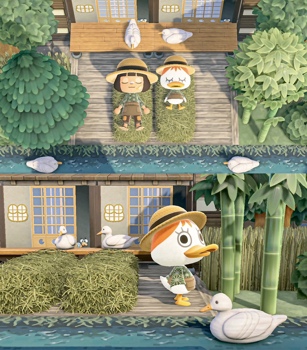 サブ島🐥

案内所裏に仕掛けた住民ホイホイ🪤
色んな子と昼寝できて幸せ😪

#ACNH #AnimalCrossing #あつ森写真部 #あつ森