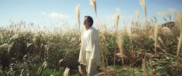 syubjimfever's tweet photo. running wild and wildflower parallels ♡ https://t.co/X9t7M95Zgn