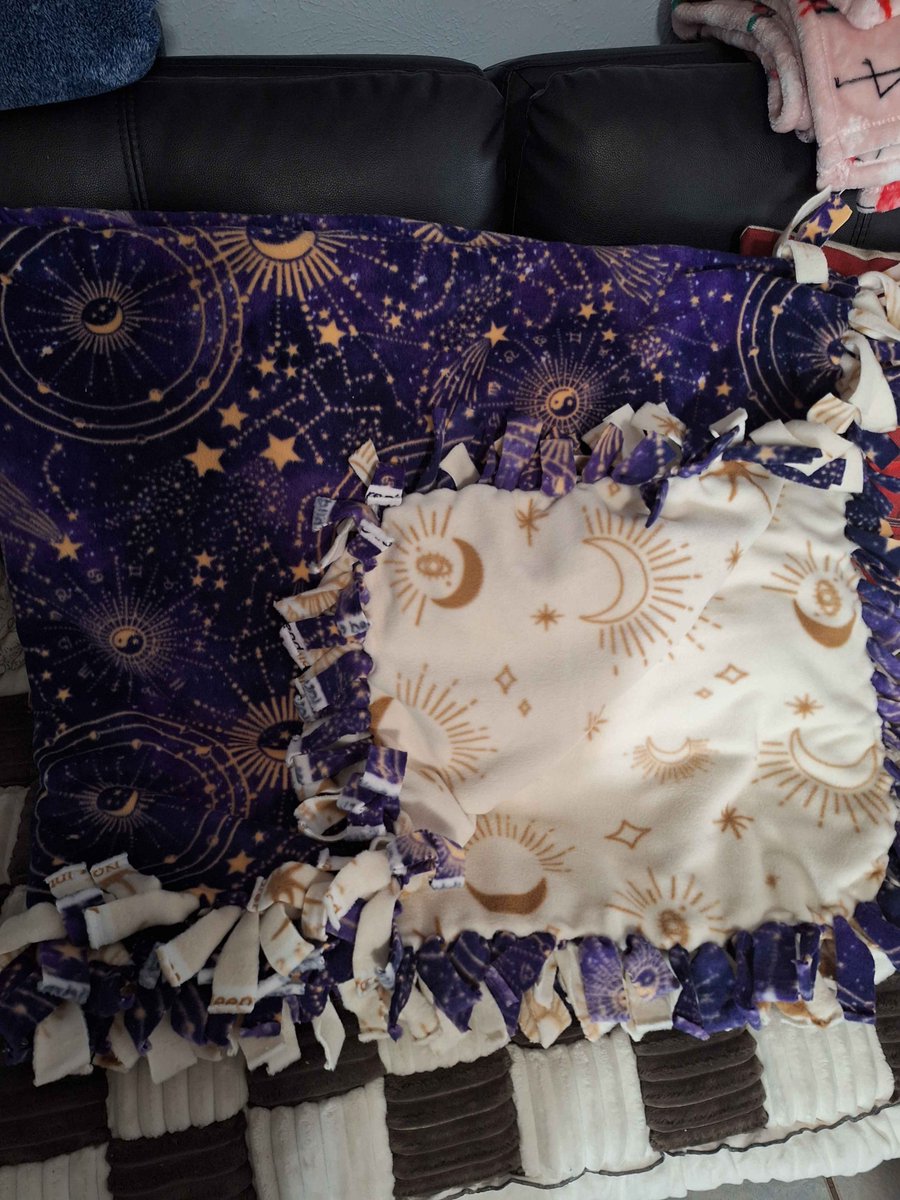 DrawsIrony's tweet photo. I'll probably start posting it again to my FA or my 🟦sky, but that depends on a few things.  Mean time, know that I've learned how to make no-sew blankets, and the one I made for myself is awesome. Here's a pic. https://t.co/9iqvTK33gb
