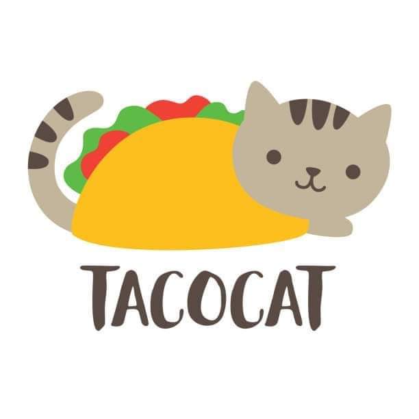 hollar4mimi's tweet image. Mimisms ~ 
Just in case 
you ever wondered.
TACO CAT 
spelled backward
is 
TACO CAT
#mindblown 
#dropthemic #boom