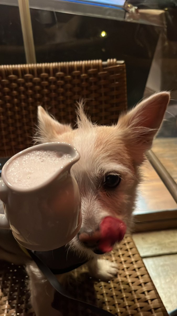 krema yok denişlerdi diye sut ictirm