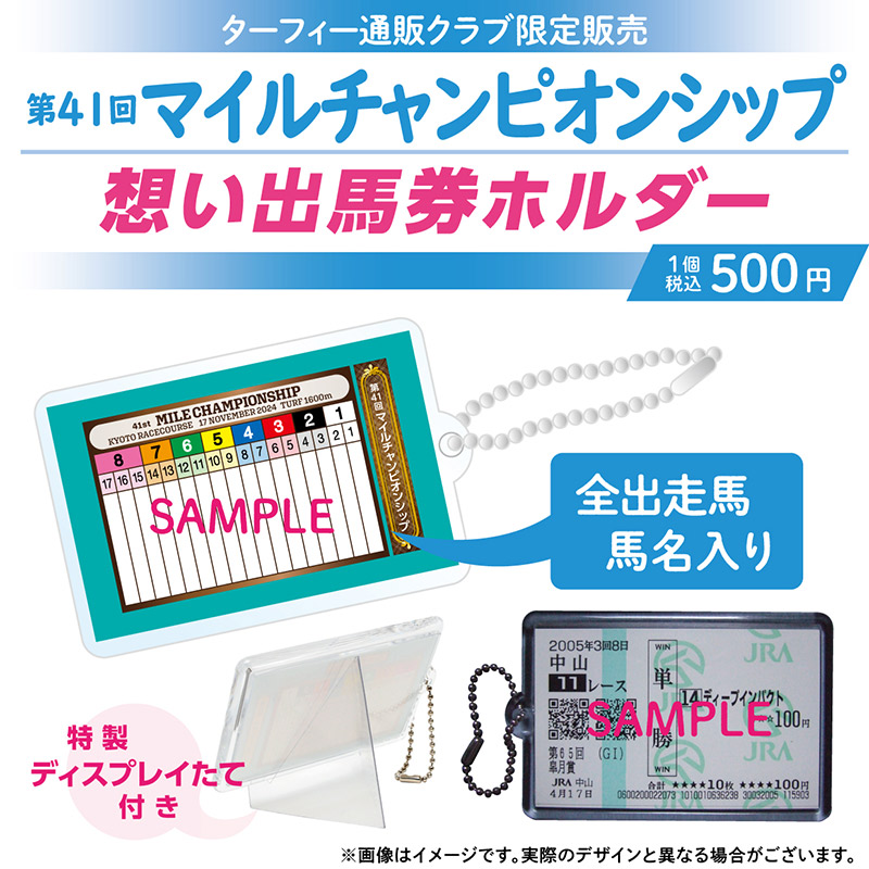 2024年 第41回 マイルチャンピオンシップ アルナシーム 勝負服 第41回