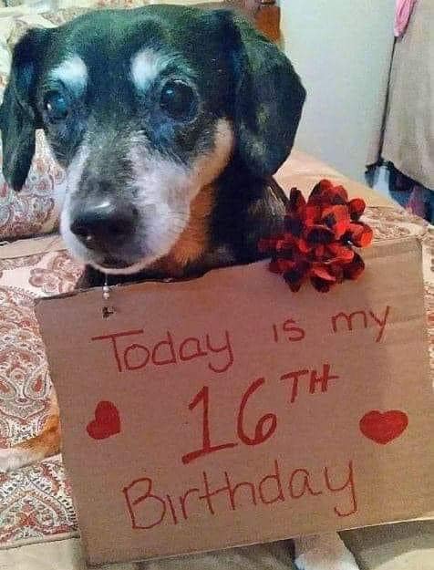 Today is my birthday hope I get some love here 💕