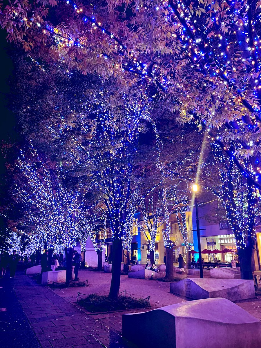 namiko12's tweet image. コラボクリスマスツリー🎄
🤶大喜びでした💕
散歩道もイルミネーションがキレイ✨
冬も楽しいことがきっと
いっぱい待ってるね❄️
#SPARKJOY 
#みなとみらい