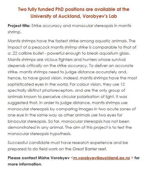 👀👀👀 This sure sounds like a fantastic PhD opportunity!