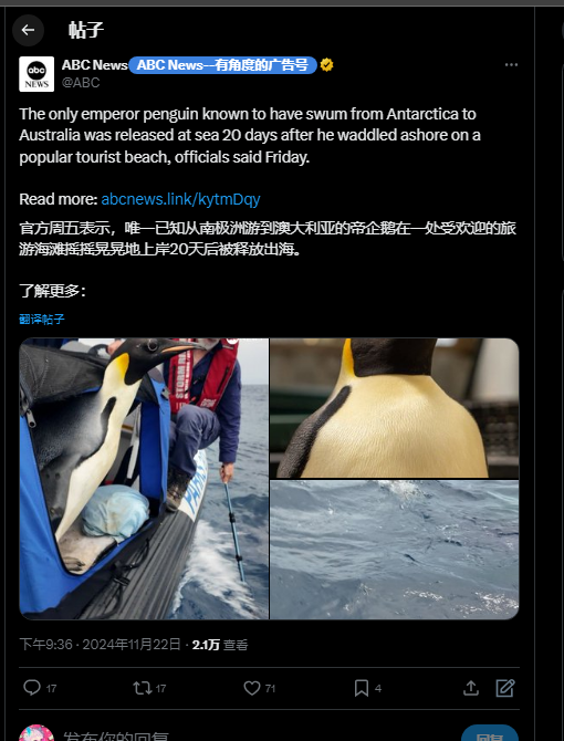 624845293qqcom1's tweet photo. 有用监控的，应该跳了好多次广告号，这个gus的企鹅，

就是彩票仓归零就归零了。有点河马的味道 也不知道准不准。

跟着我一起喊“宝灵灯才是古希腊丝丝热的MEME之神”