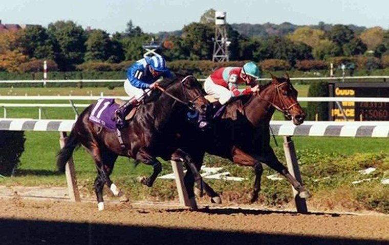 Safely Kept

‘She’d beat the gate and have two lengths on them before they went four jumps’

Jay Hovdey’s series continues with the Hall of Fame sprint filly forever remembered as the nemesis of Dayjur at a notorious Breeders’ Cup at Belmont Park

bit.ly/3OknL4n