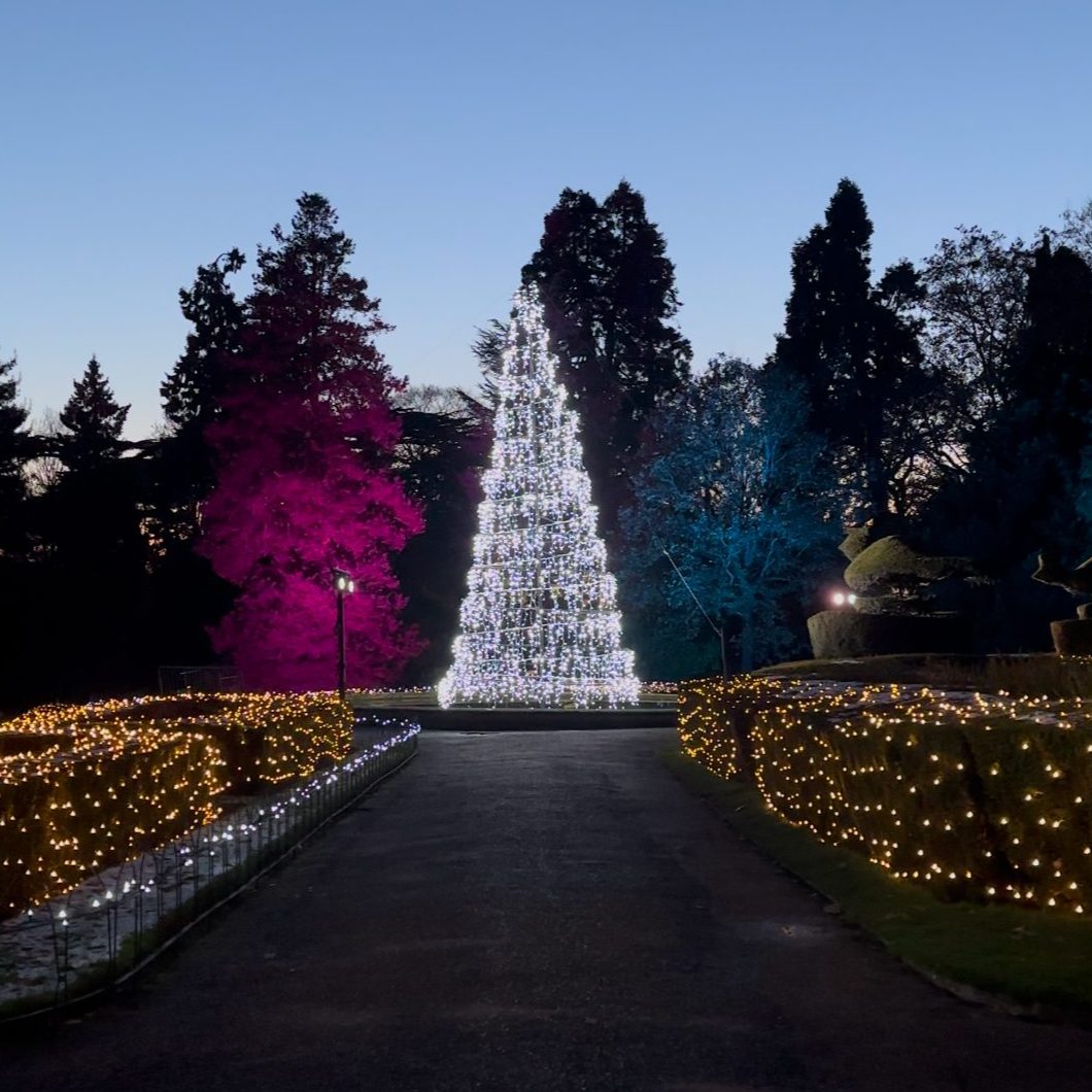 Exclusive First look at our 2024 Warwick Castle Light Trail! 🤩

PLUS… get 20% off with our Black Friday deals ✨🎄

🎟️ warwick-castle.visitlink.me/Cu4b6F