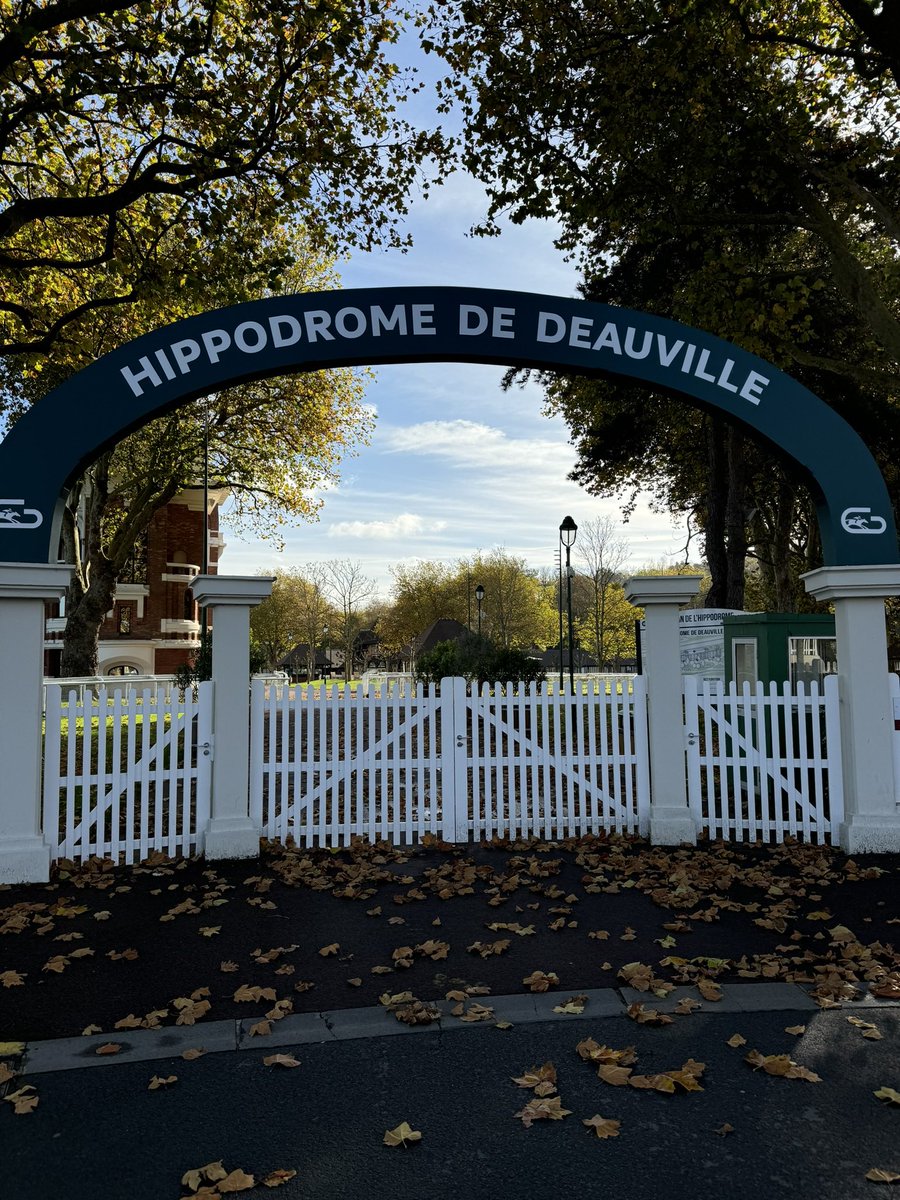 Hydrowick Drainage tweet media