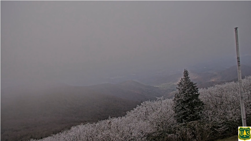 CutterMartin's tweet image. Oh, hey, @BrasstownBald! Flurries and very light snow have turned tree-tops white up at the peak.

📍4, 784&apos; #gawx @ATLNewsFirst