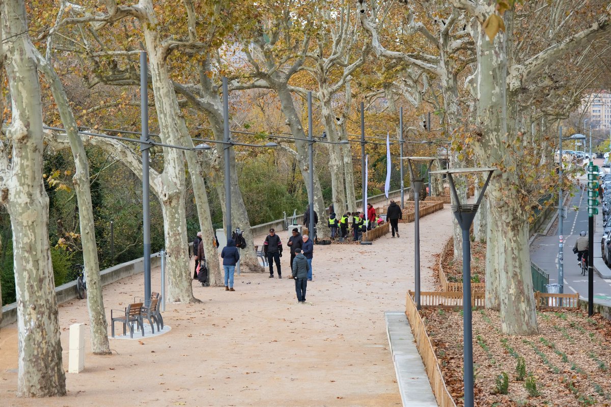 Gregorydoucet's tweet image. Plantation : saison 4, épisode 1⛏️🌳

La période de plantation est lancée à #Lyon. Cinq mois pour aller plus loin dans l’adaptation de la ville au changement climatique. Pour ouvrir la séquence, nous avons choisi une promenade plébiscitée par les piétons et les cyclistes.⬇️
