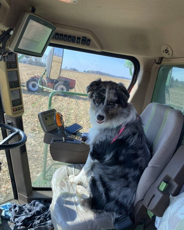 🎉 We can’t forget about our biggest Harvest supporters! #HarvestCheerleaders #BrevantSeeds #FarmFamily